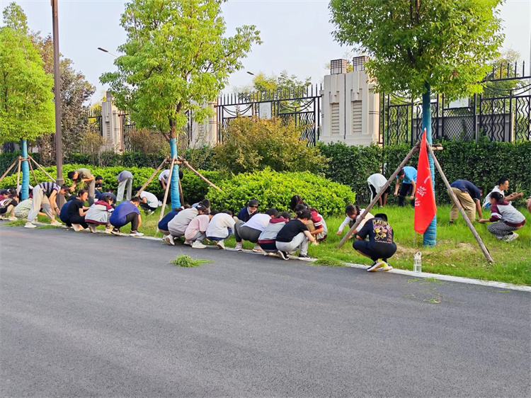 图片22：“除草护绿，净化心灵”主题劳动教育实践活动.jpg