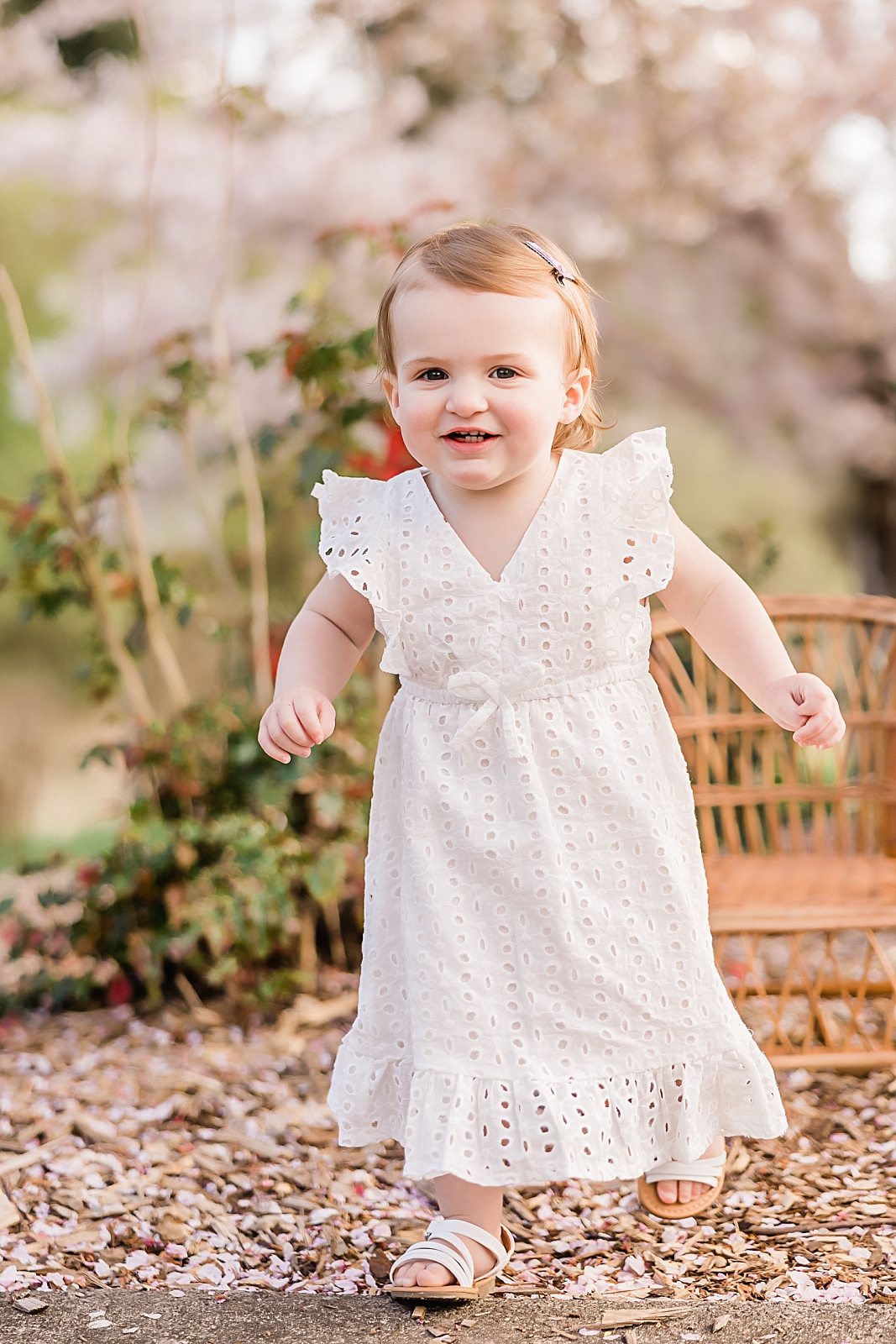 Shop The Bull and The Bee Portland for Quality Baby Clothes and Toys