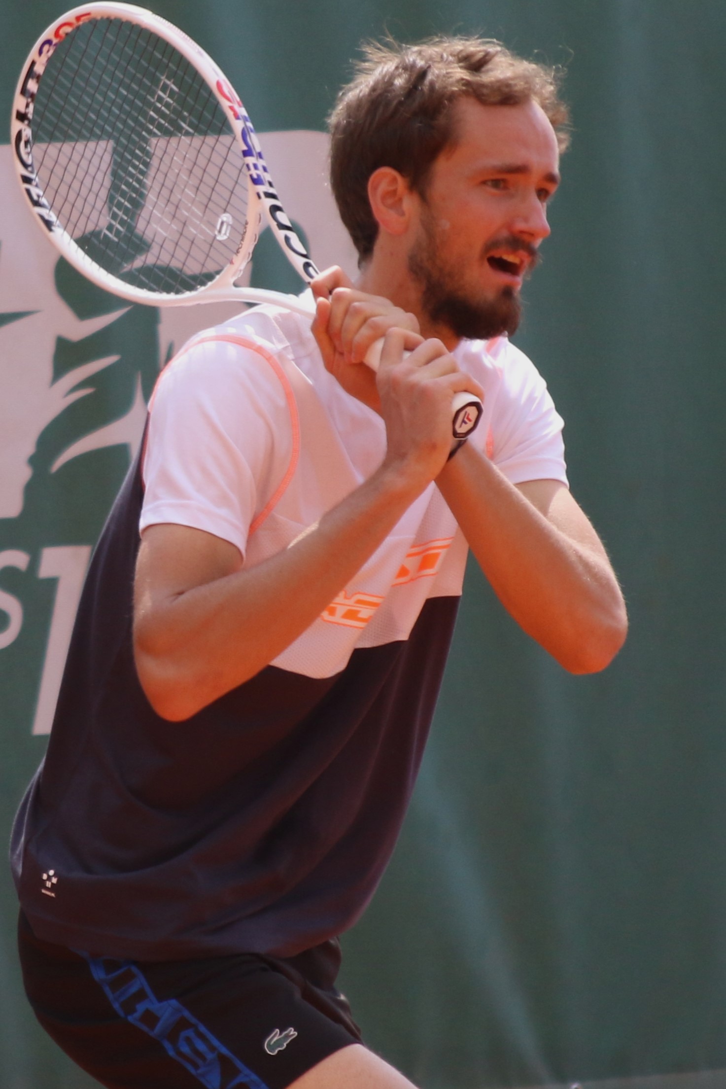 Exploring Daniil Medvedevs Career and Achievements in Tennis