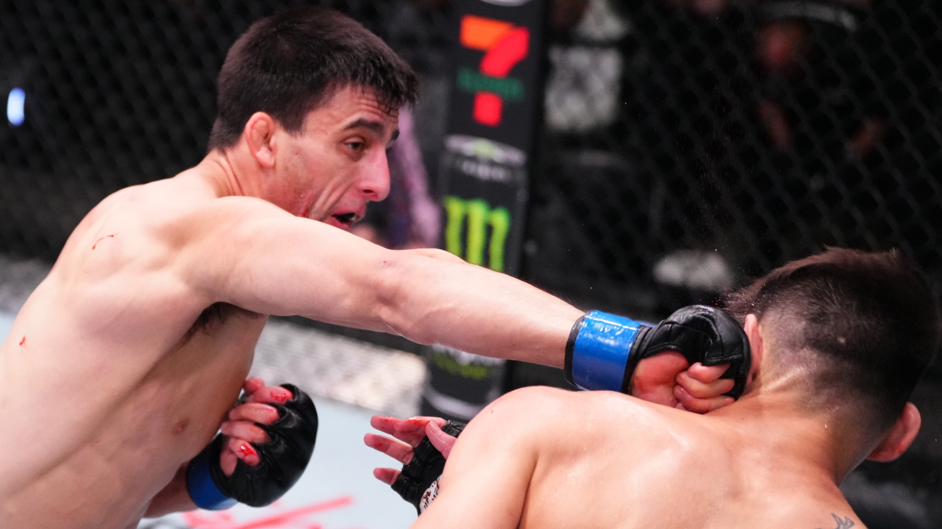 Steve Erceg: UFC Flyweight Fighter Profile and Latest News