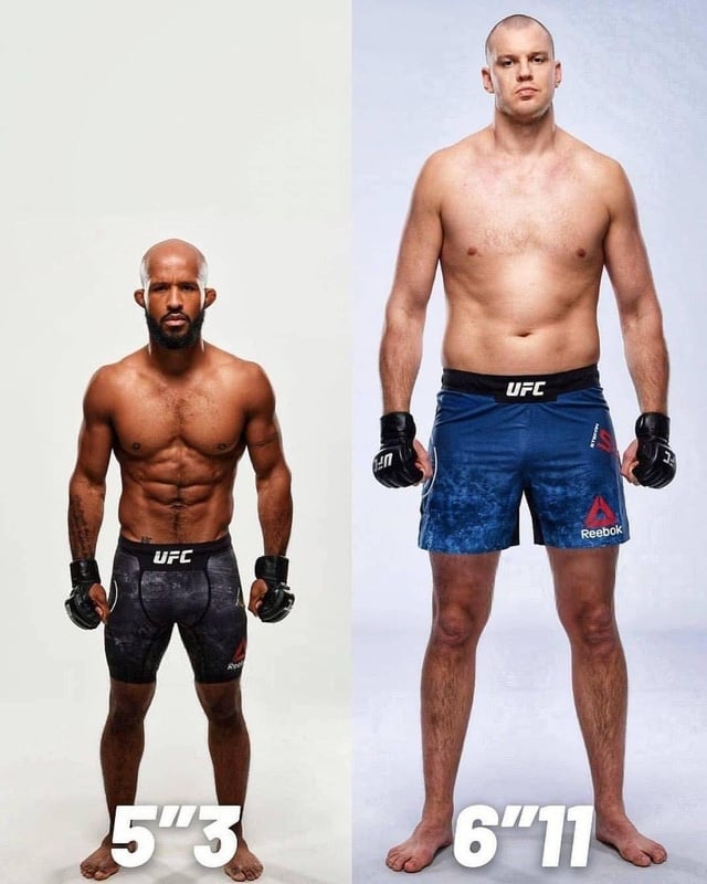 Shortest UFC Fighter in History: How They Overcame the Height Disadvantage