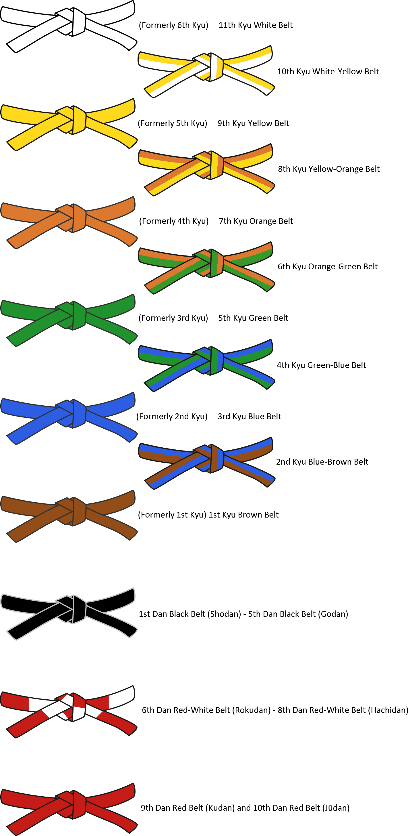 Judo Ranks NYT Explained: Belts, Stripes, and Promotions