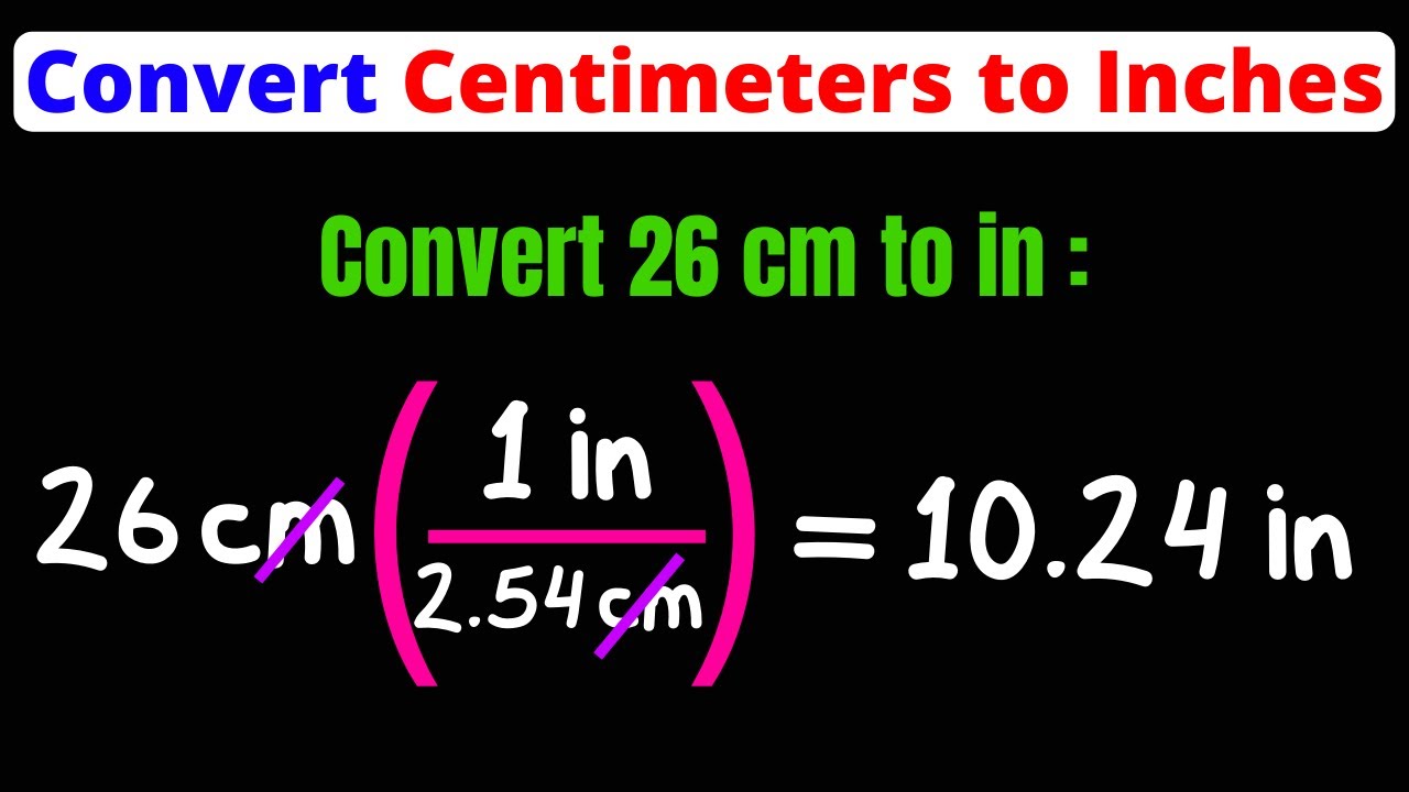 224 cm in Inches: Understand the Conversion Easily