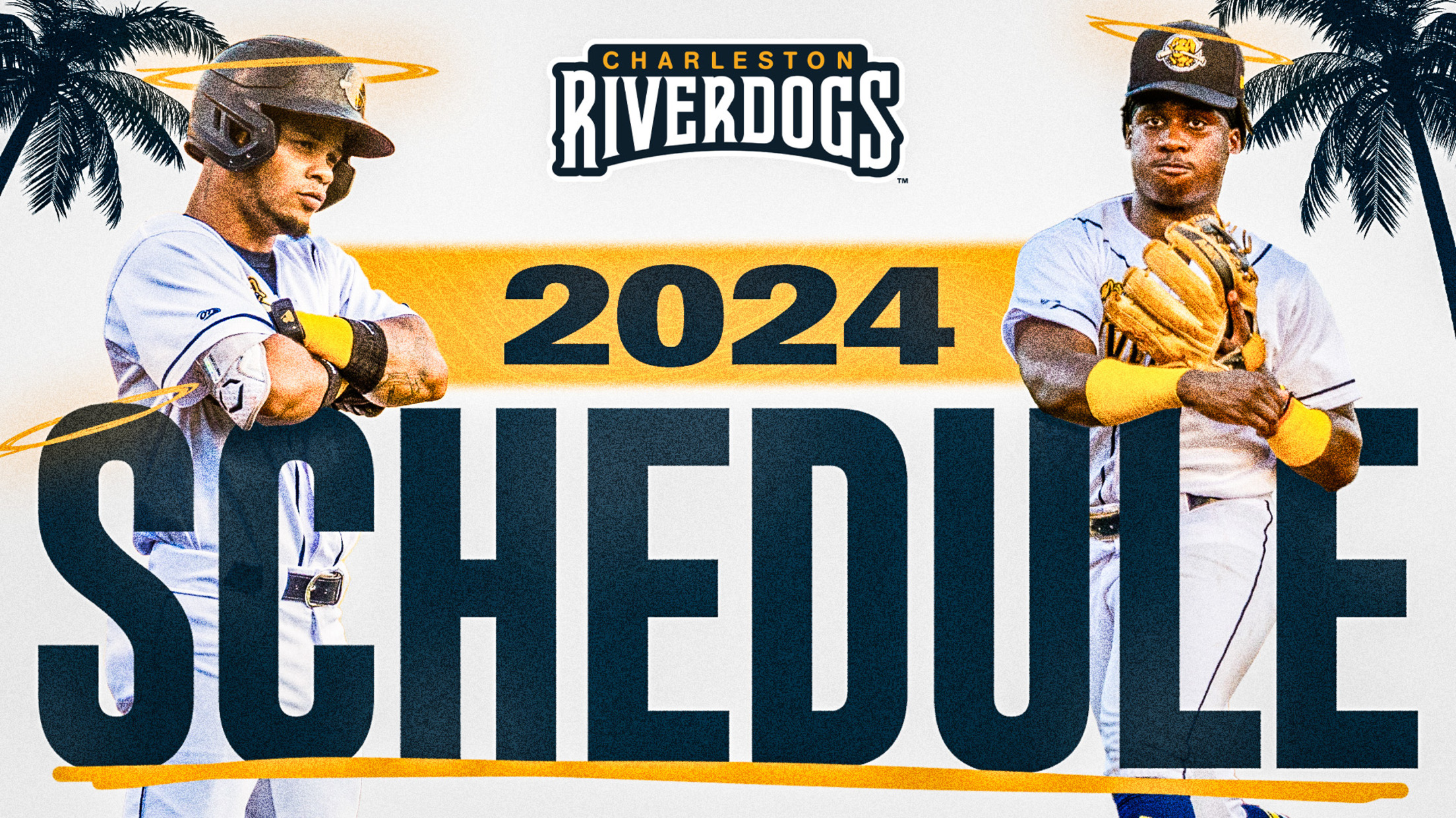 Charleston RiverDogs Schedule 2023: Dates, Times, and Promotions