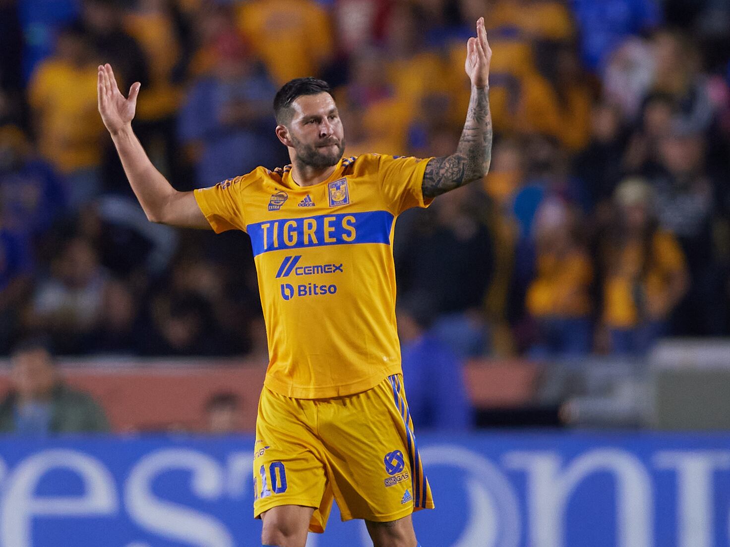 Tigres UANL vs C.F. Pachuca: Score Updates and Highlights