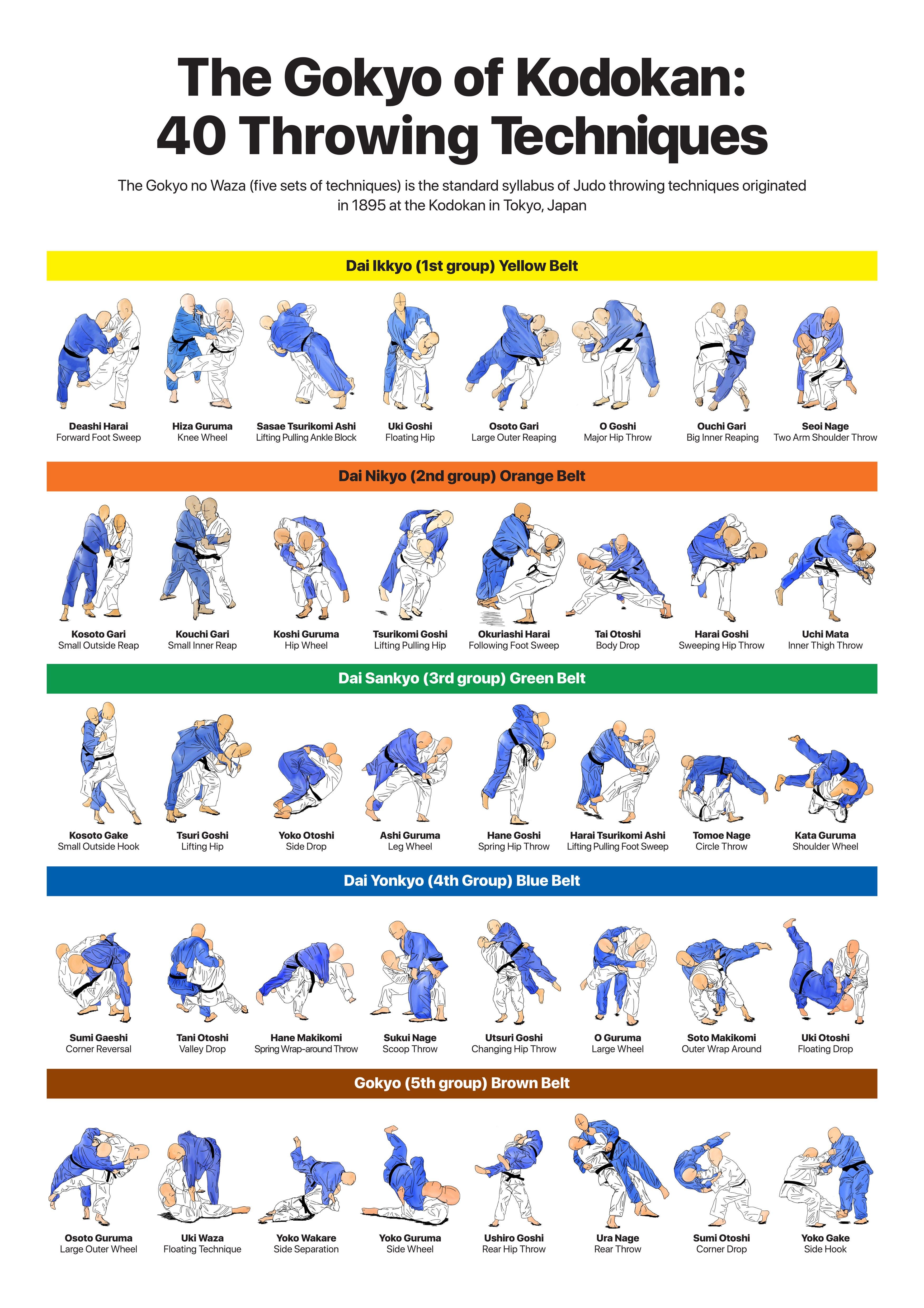 Judo Ranks NYT Explained: Belts, Stripes, and Promotions