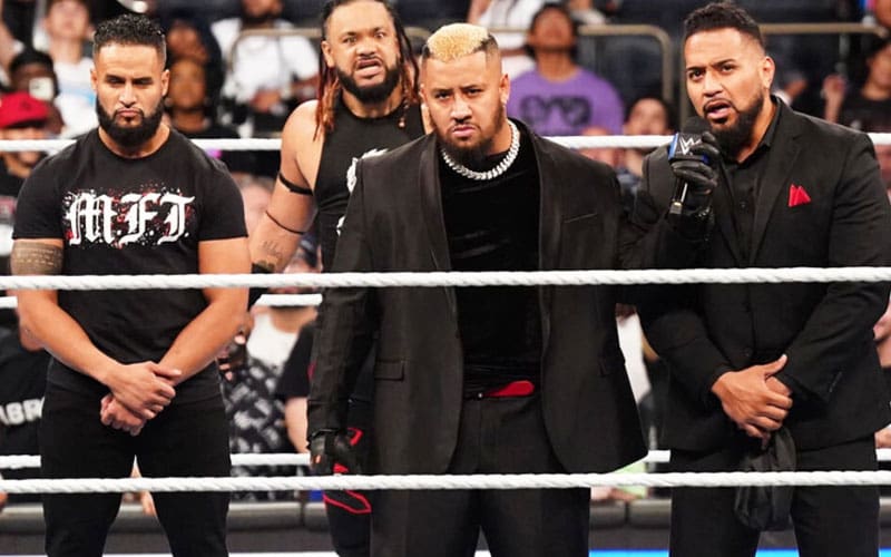 New Bloodline Member Revealed? (Everything You Need to Know About the Latest WWE Addition)