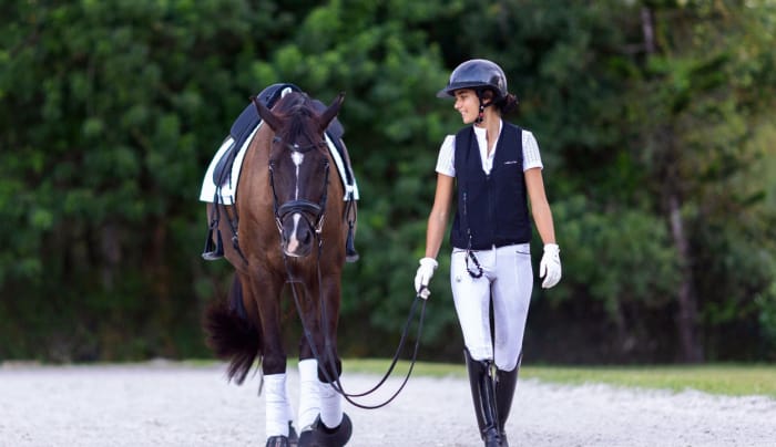 How to choose Harry Hall riding clothes? Check this beginners guide.