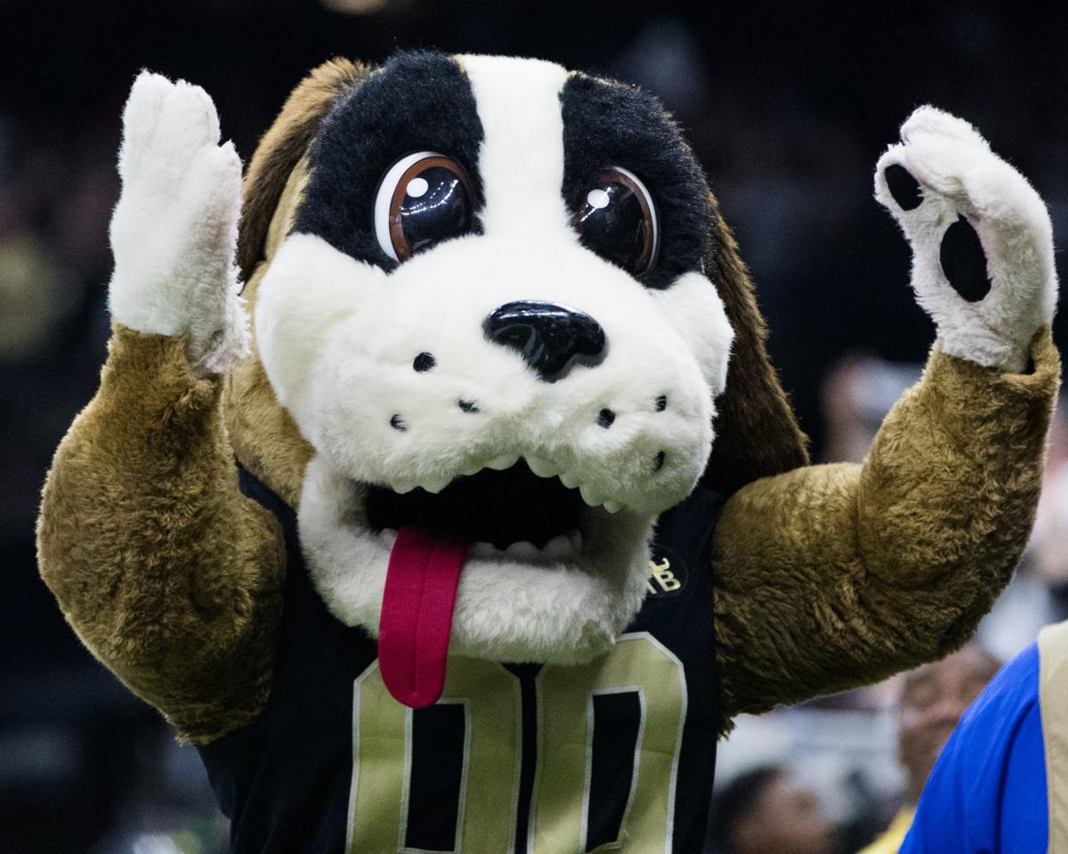 Saints Gumbo Mascot: Get to Know the Teams Fun-Loving Dog!