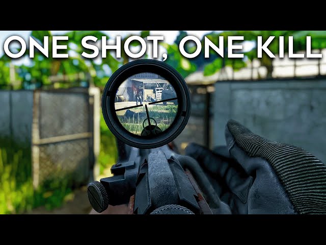 Grayzone One Shot One Kill: What Does It Mean? (Easy Guide for Beginners)