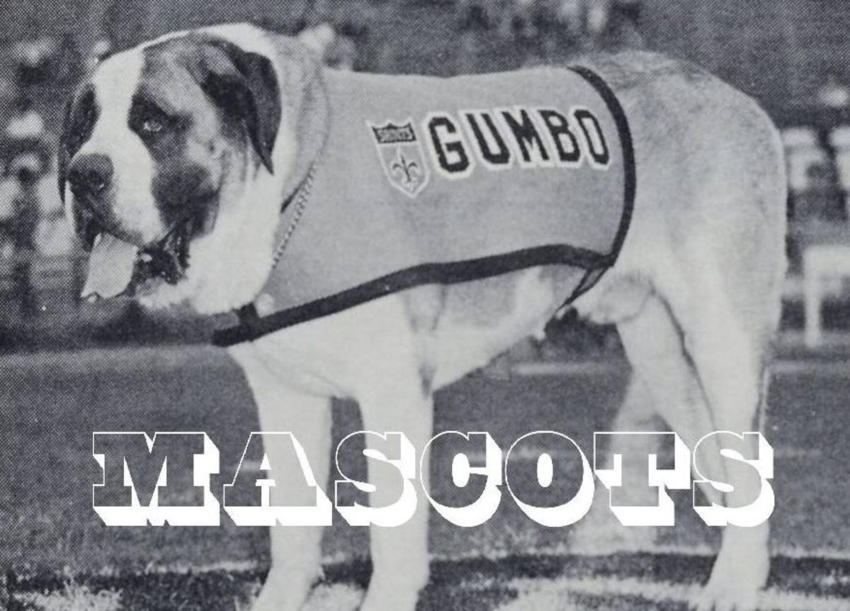 Saints Gumbo Mascot: Get to Know the Teams Fun-Loving Dog!