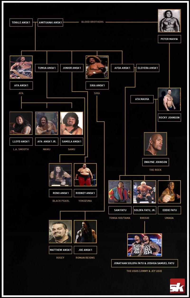 Learn about the anoa i family tree! A beginners guide to this famous lineage.