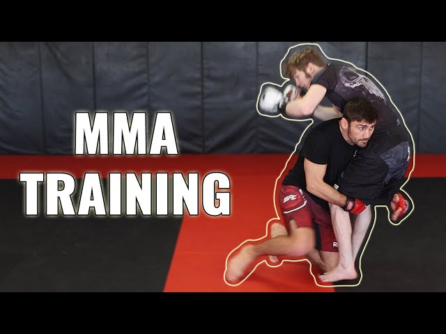 The MMA Gurus Handbook: Everything You Need to Know About MMA (Level Up Fast)