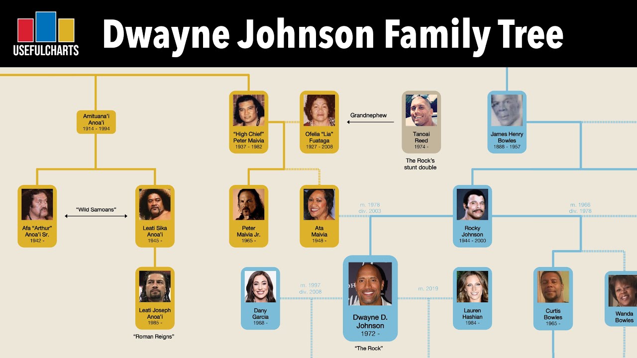 Learn about the anoa i family tree! A beginners guide to this famous lineage.