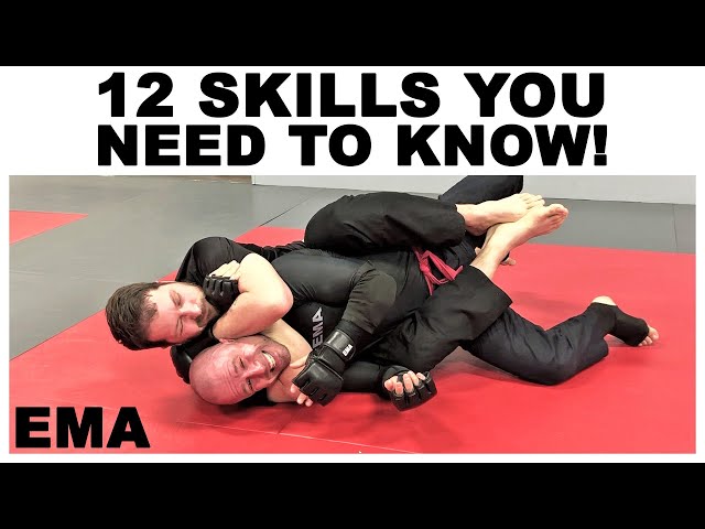 The MMA Gurus Handbook: Everything You Need to Know About MMA (Level Up Fast)