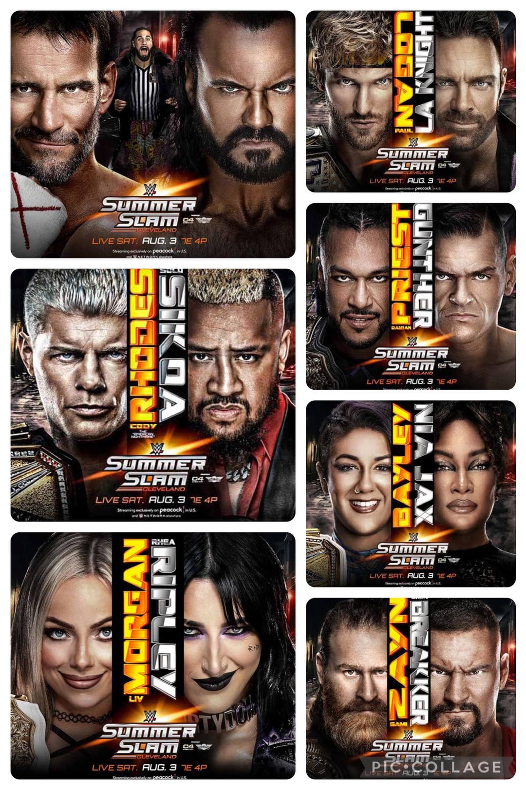 Complete Summerslam Match Ratings:The top stars rank!