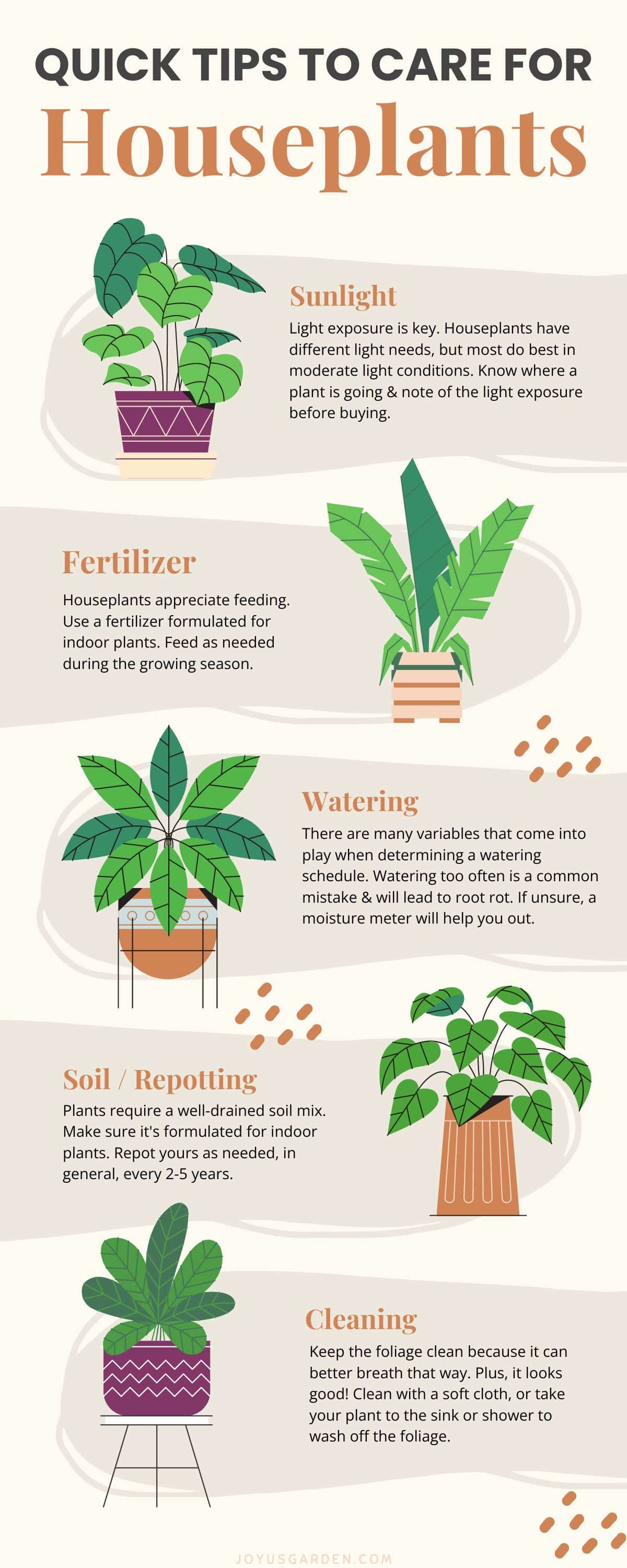 jordan plant Care: Easy Tips & Tricks (Grow Healthy Houseplants)