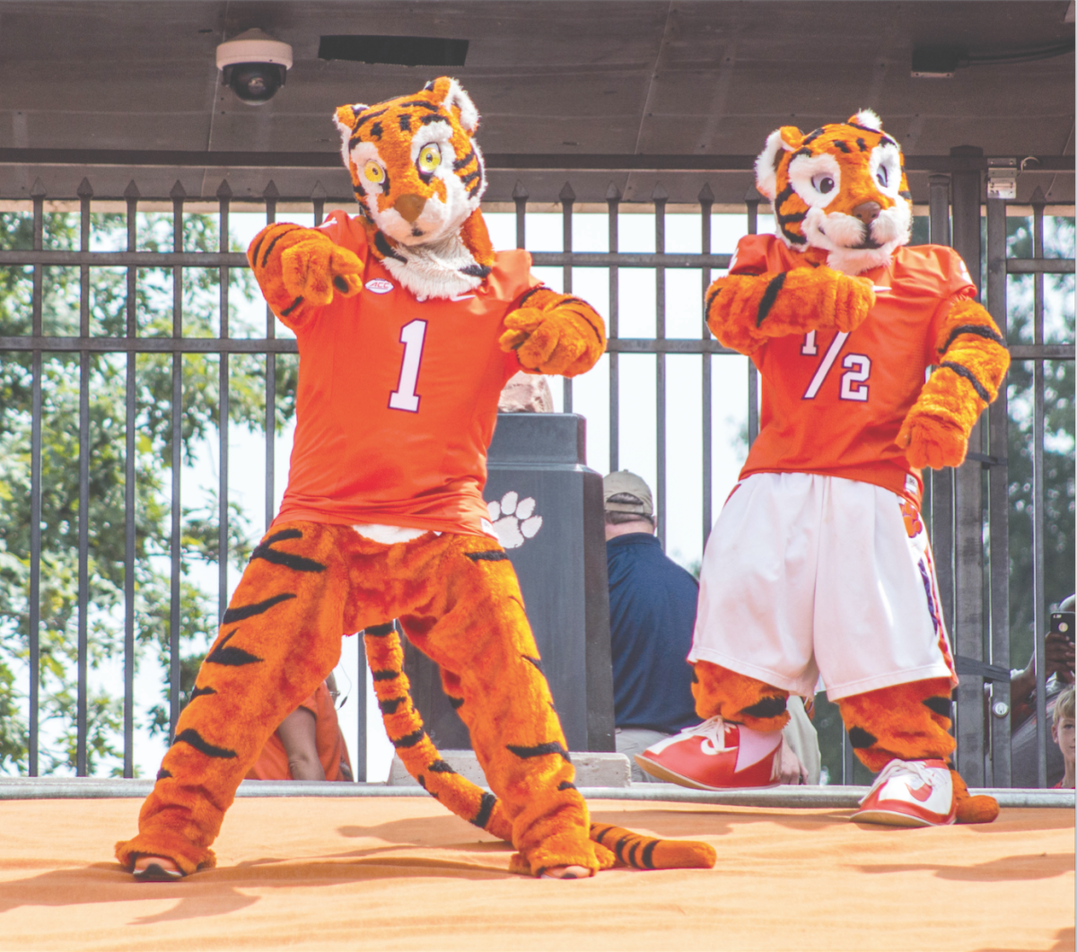 Clemson Mascot Tiger: Everything You Need to Know (Meet The Cub!)