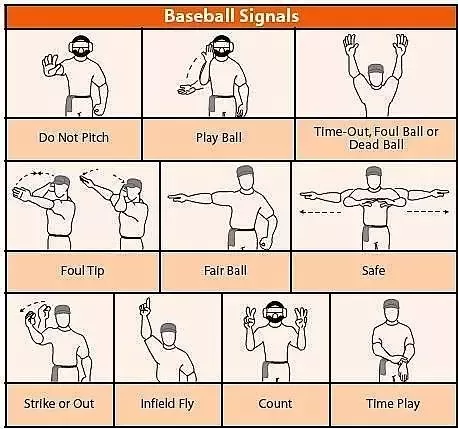 Blue Umpire Explained: What Makes Them Different (Baseball Rules)?