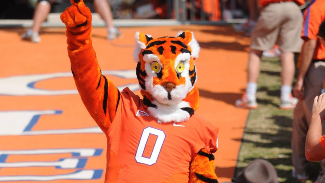 Clemson Mascot Tiger: Everything You Need to Know (Meet The Cub!)