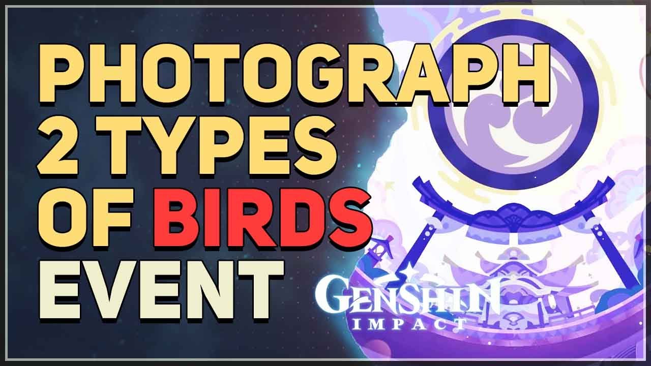 Photograph 2 Types of Birds Genshin: Locations and Tricks!