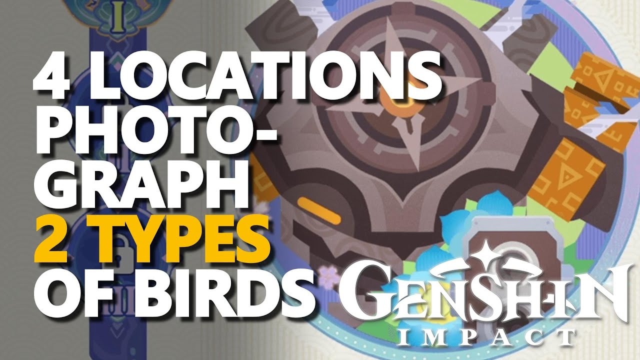 Photograph 2 Types of Birds Genshin: Locations and Tricks!