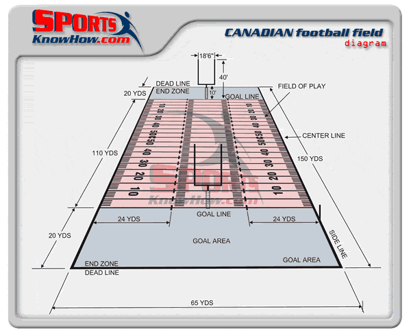 CFL Field Size: Complete Guide to Dimensions and Markings.